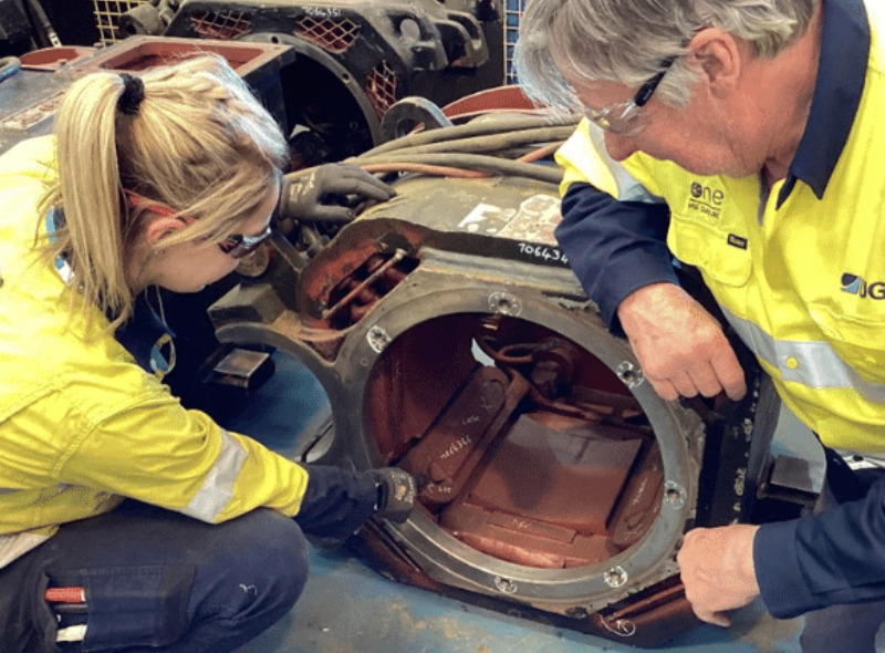 Apprentices and trainees