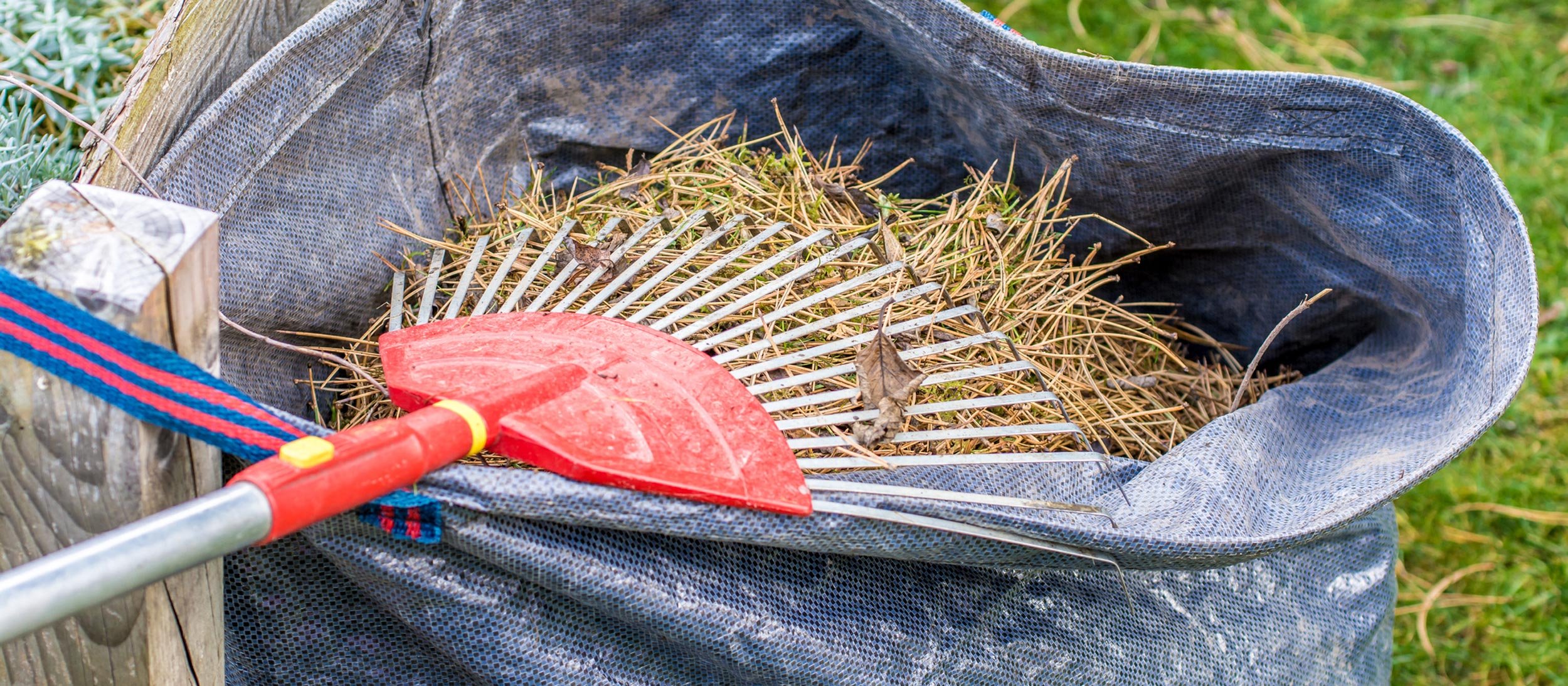 Rake laying on a bag of brush
