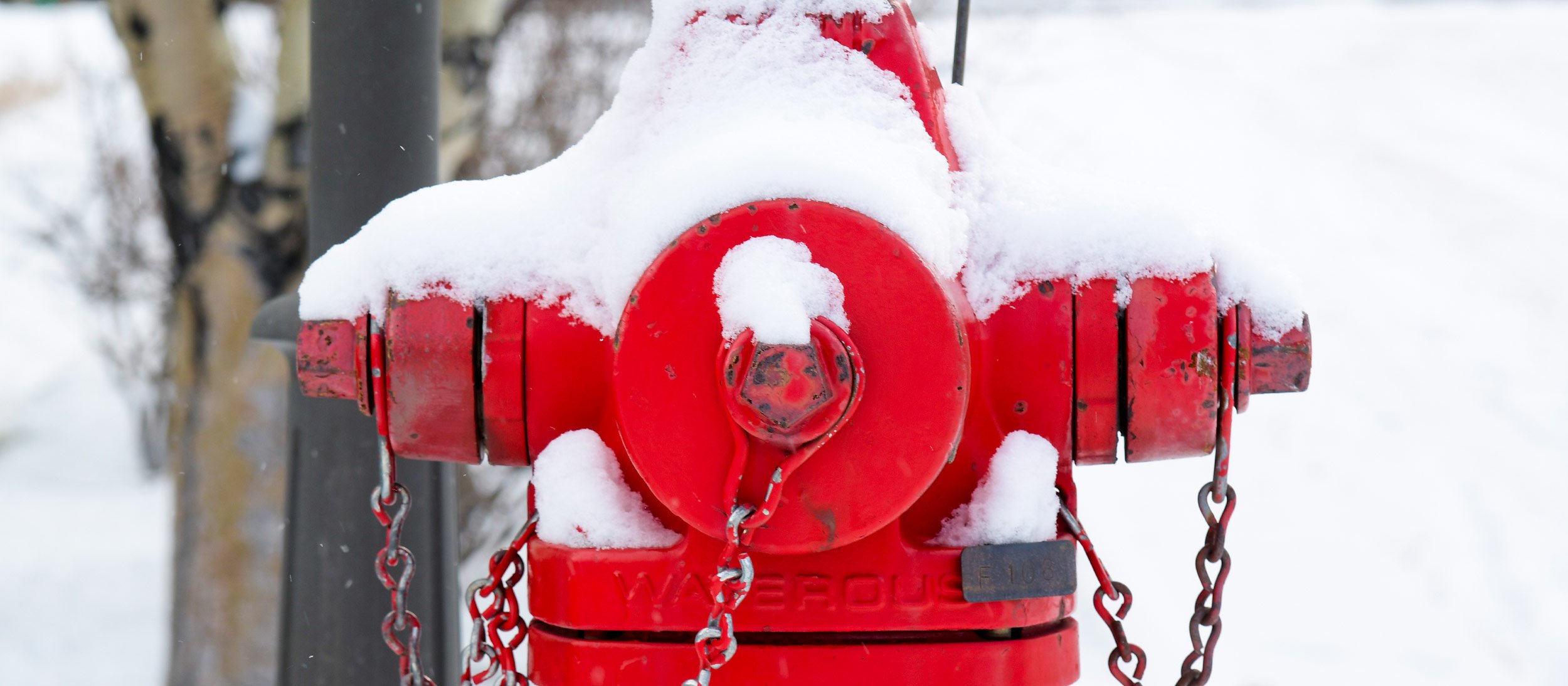 A fire hydrant covered in snow
