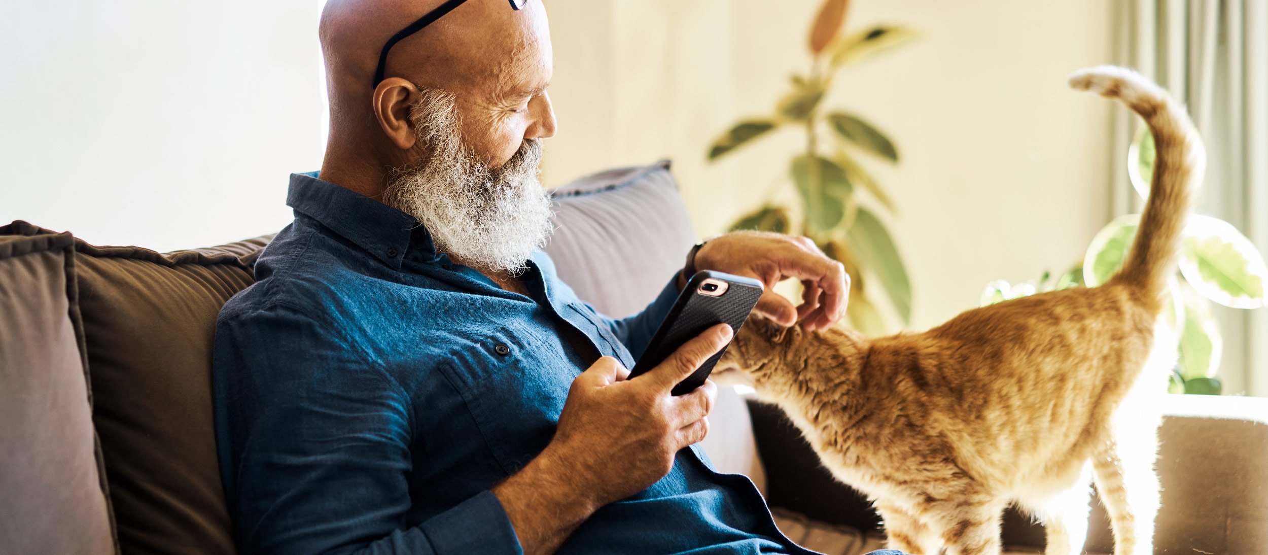 Man scrolling through phone while petting cat