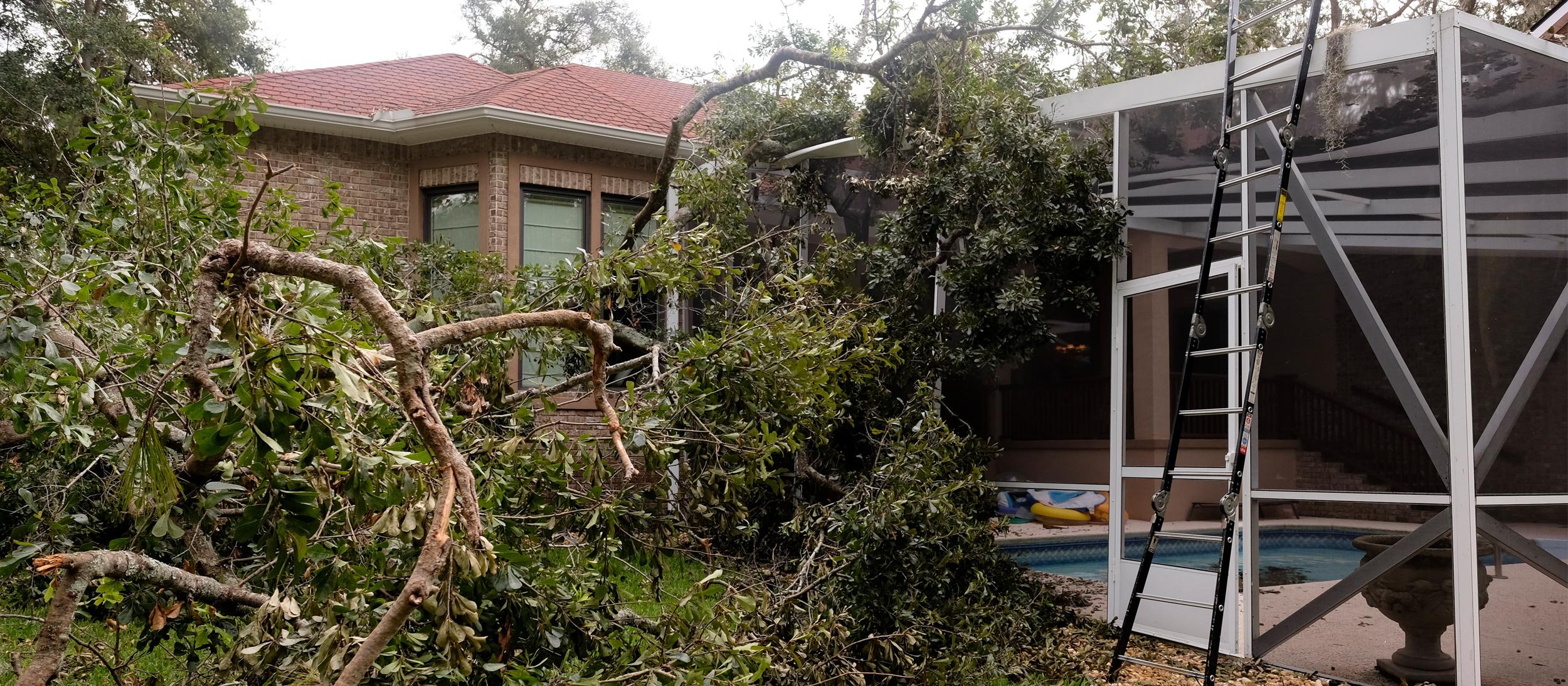 A tree fallen near a house