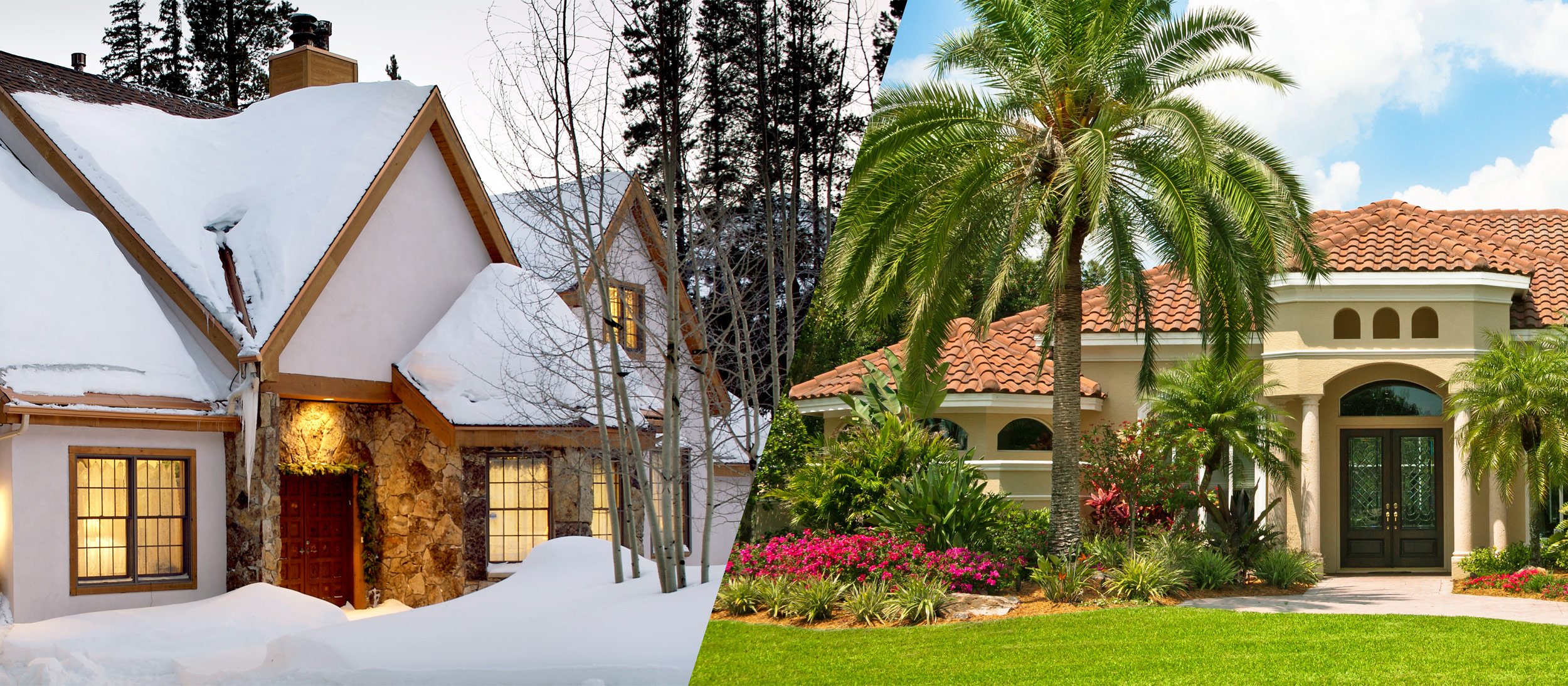 A split image of a home covered in snow and a home with tropical plants in the summer