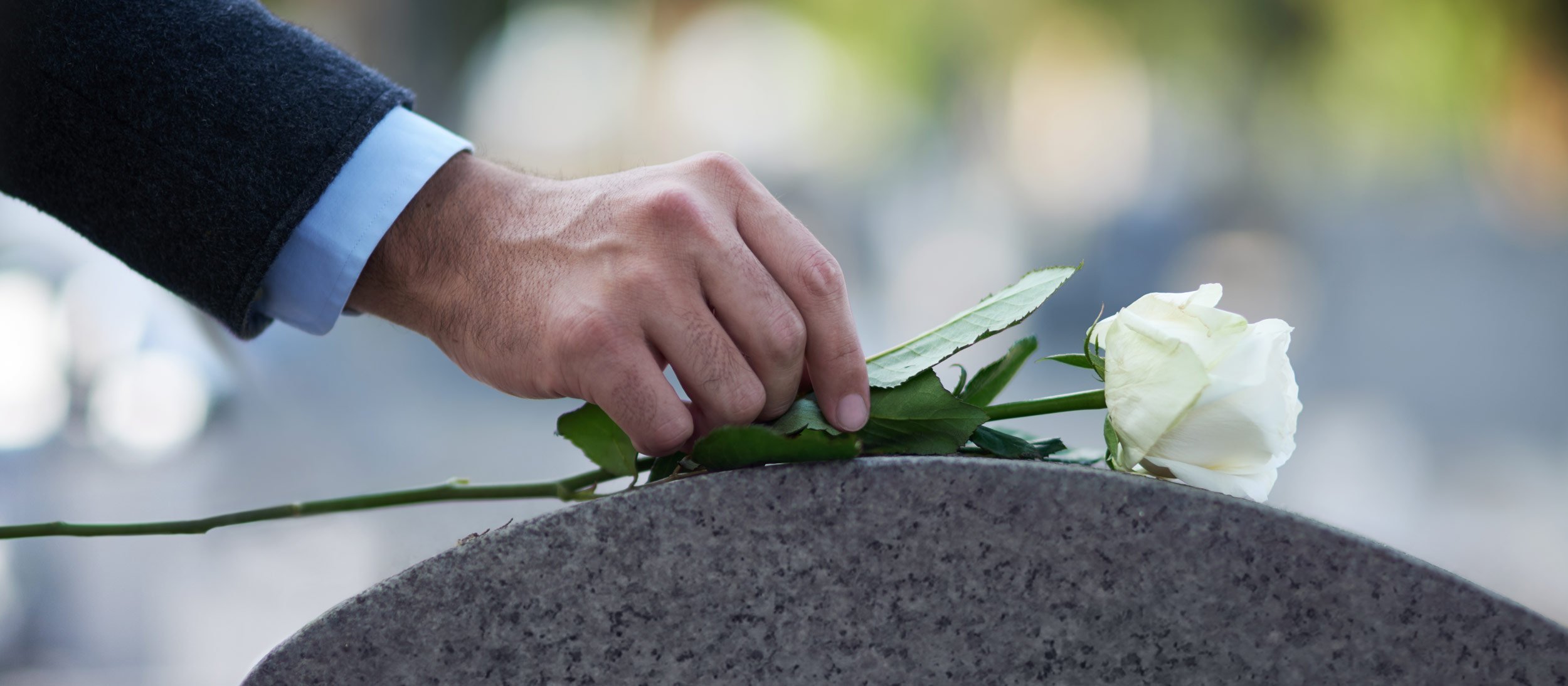 Placing a rose on a tombstone
