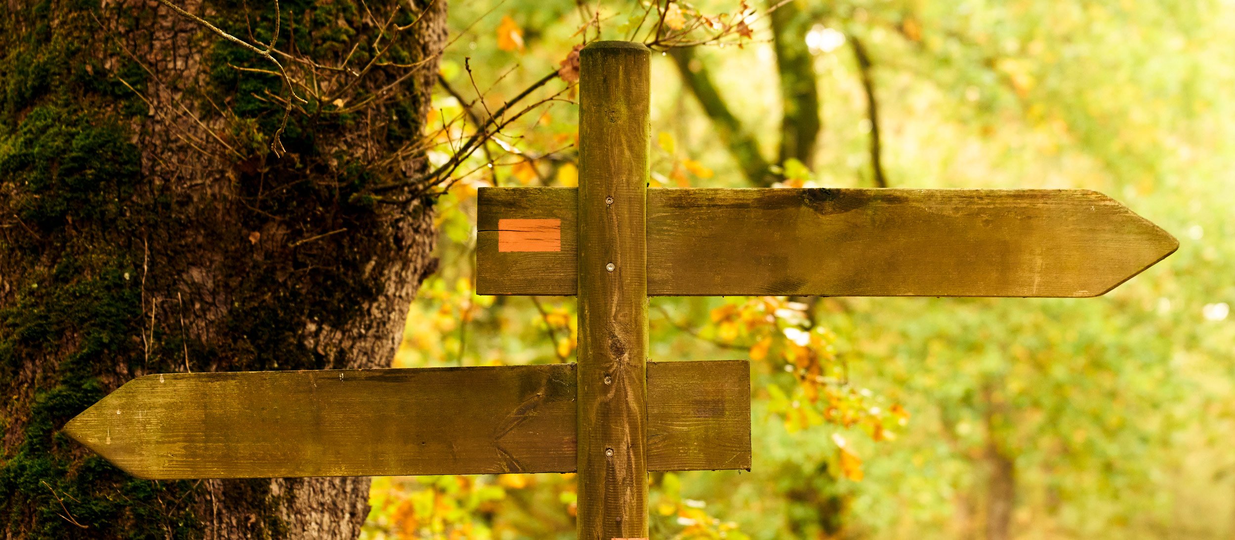 A sign pointing to two different paths
