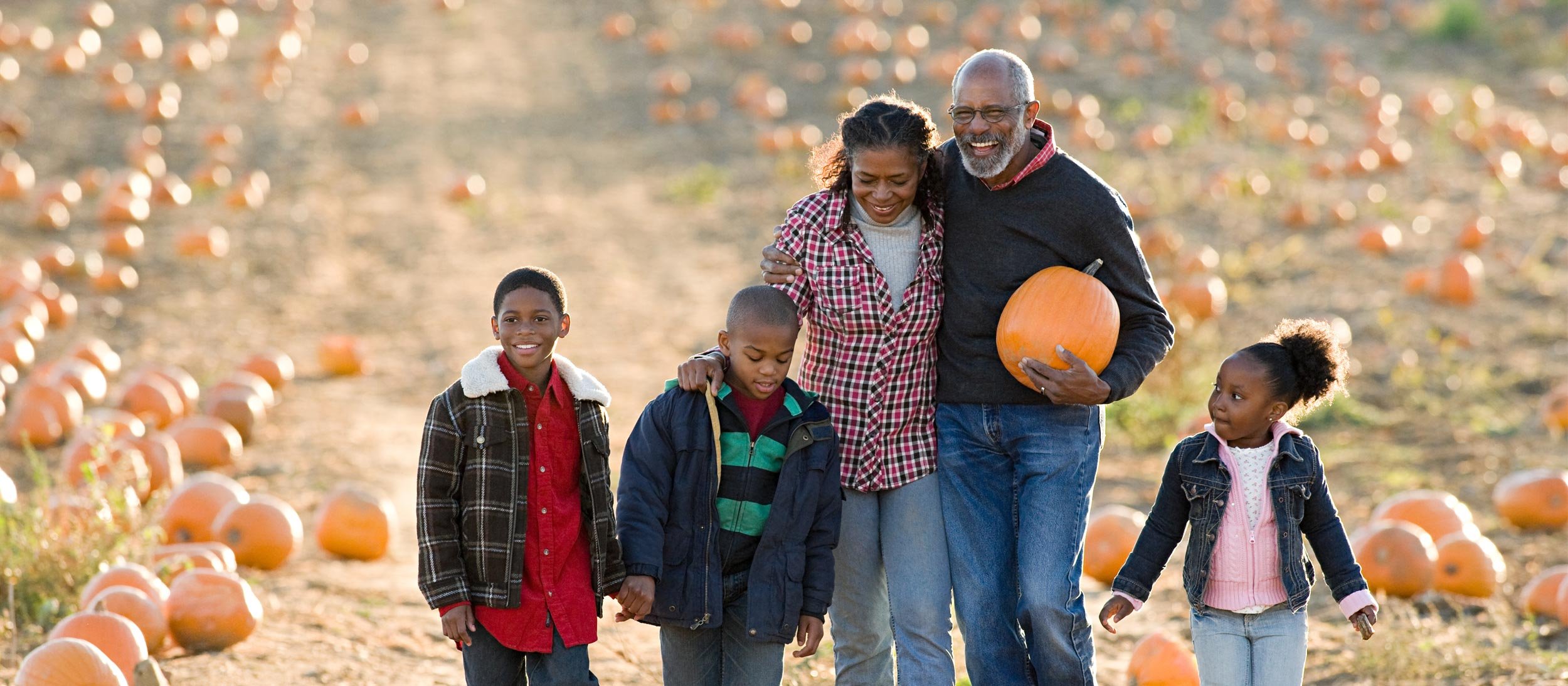 Family walking through a pumpkin patch
