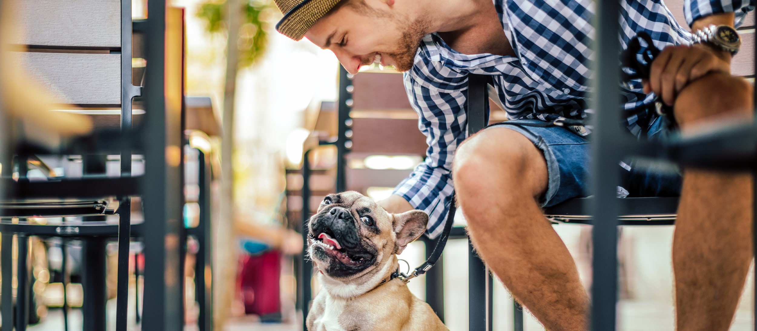Man leans down to pet his dog
