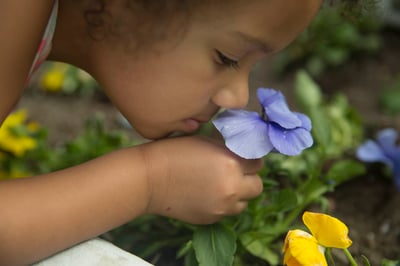 A little girl smelling a flower