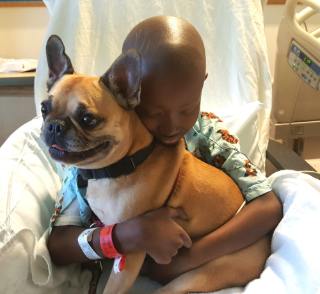 Child hugging a dog