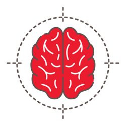 brain