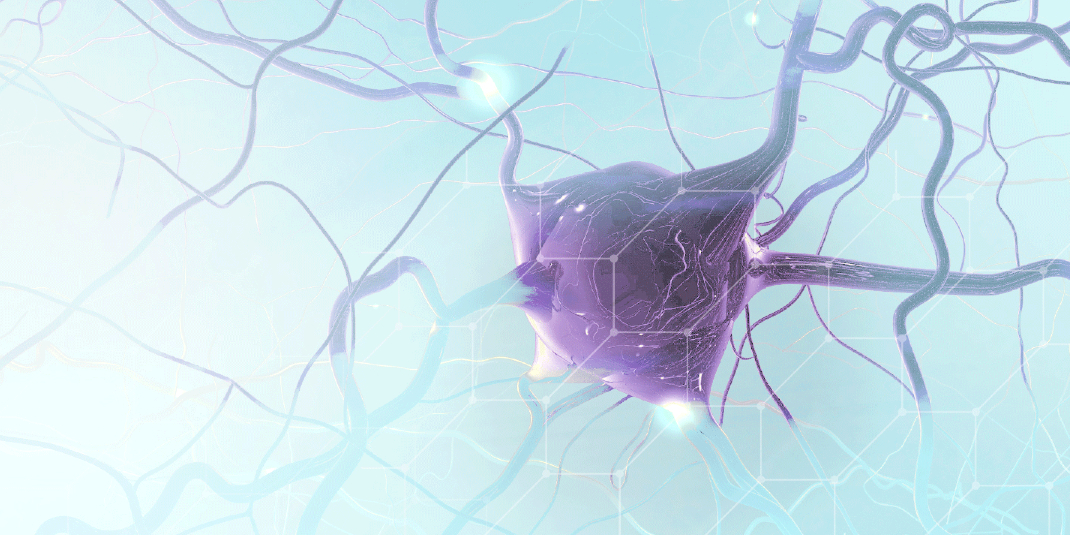 Illustration of a neural network Illustration of a neural network