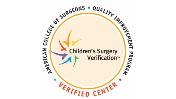 Level 1 surgery verification logo