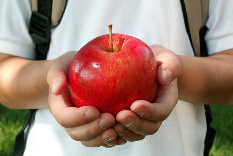 hands holding apple