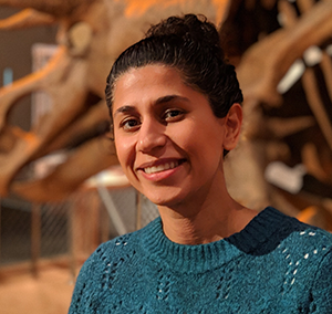 Sanaa Willenbring, MSW, LICSW