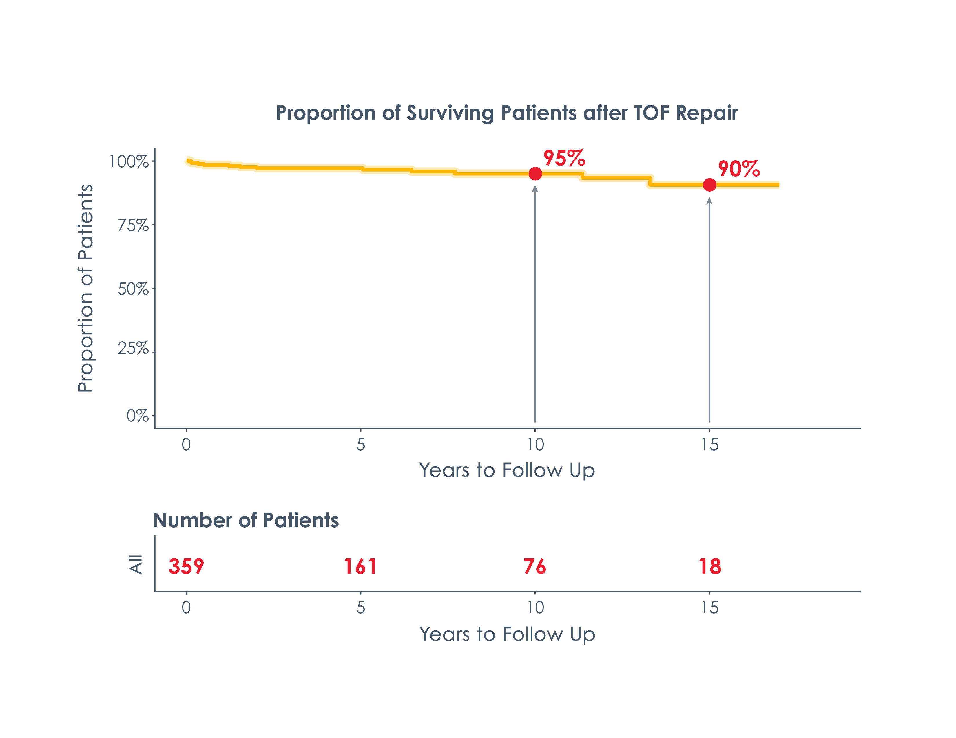 Long-Term Survival Outcomes After Tetralogy of Fallot Surgery