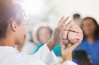Side view of a woman in a white coat holding a model of a human brain.