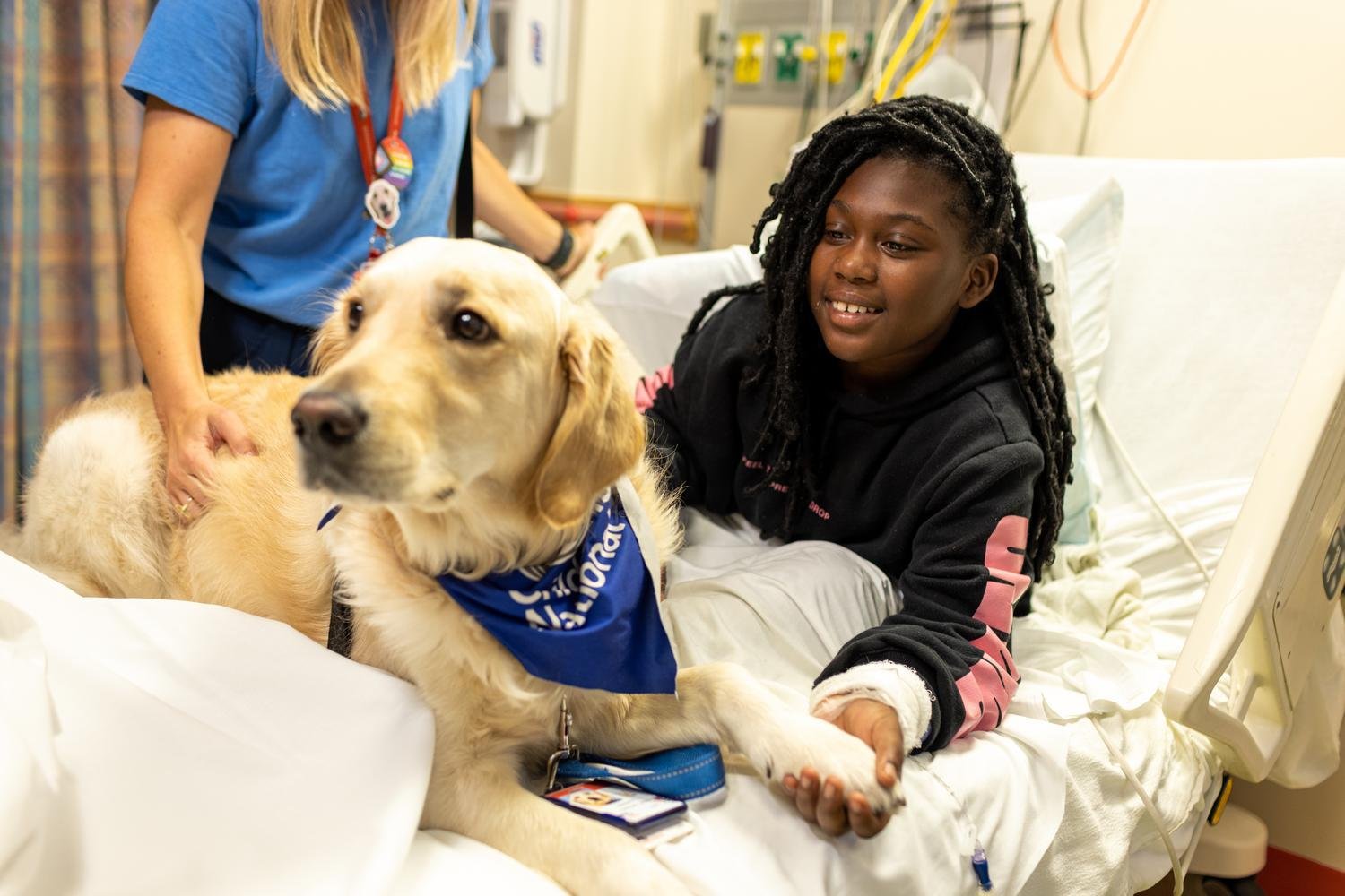 golden retriever visits hospital patient
