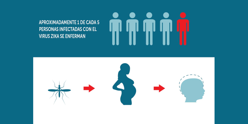 zika infographic