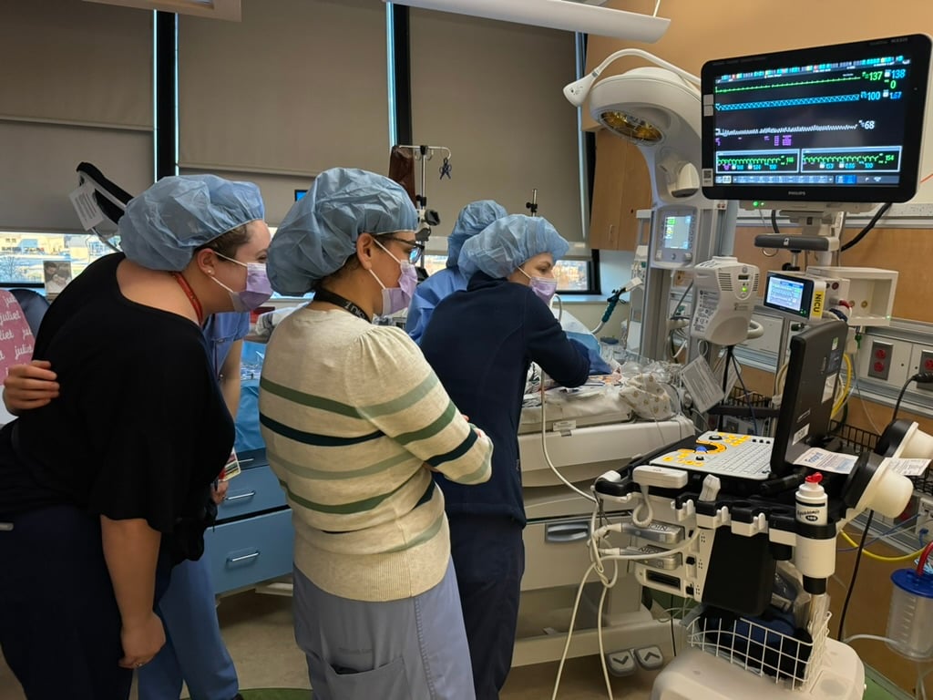 Neonatal-Perinatal fellows examine a patient's monitor.