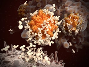 Antibodies responding to covid-19 coronavirus, illustration