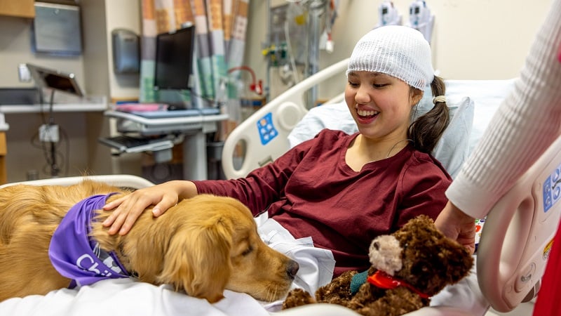 Company the animal therapy dog rests in the bed of a teenage EEG patient at Children's National.