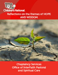 Cover image for Hope and Courage PDF