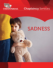Cover image for Sadness PDF