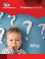 Cover image for Why PDF