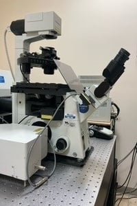 Black and white confocal inverted microscope stand, on top of air table.