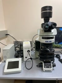 Black and white upright epifluorescence microscope.