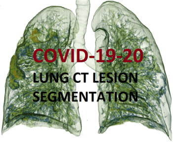 lung ct lesion segmentation