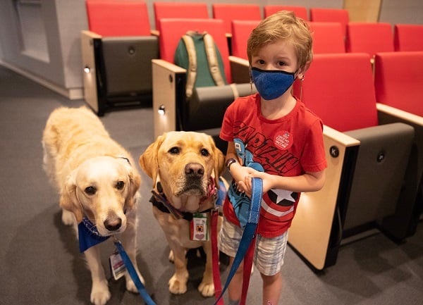 A young boy holds the leashes of two Children's National facility dogs as he stands next to them after receiving his COVID-19 vaccination