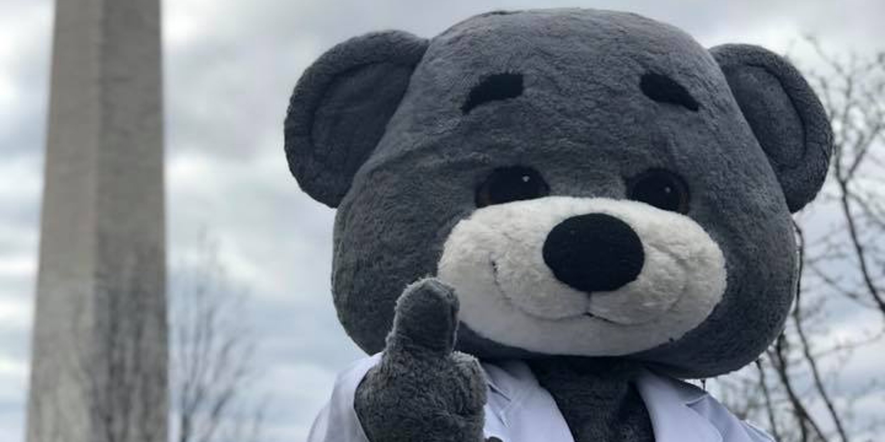 Volunteer Services Children's National Hospital