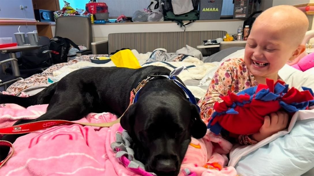 Children's National patient, Amara, and therapy dog, Tux, play together on Amara's bed.