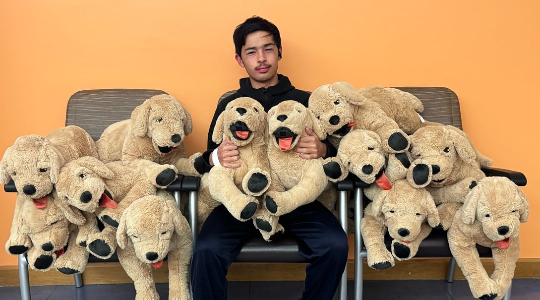 Patient Ethan sitting on chair surrounded by many big dog stuffed animal toys