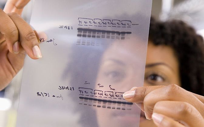 A researcher reviews data on a transparency.