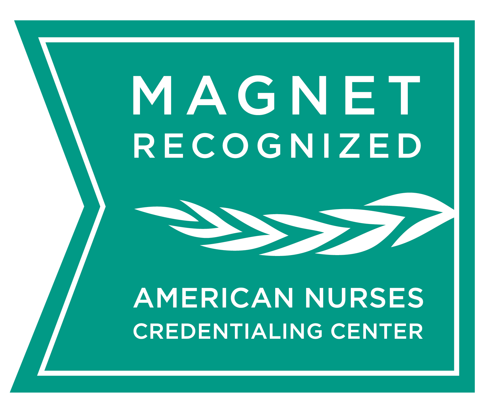 MAGNET recognized award logo