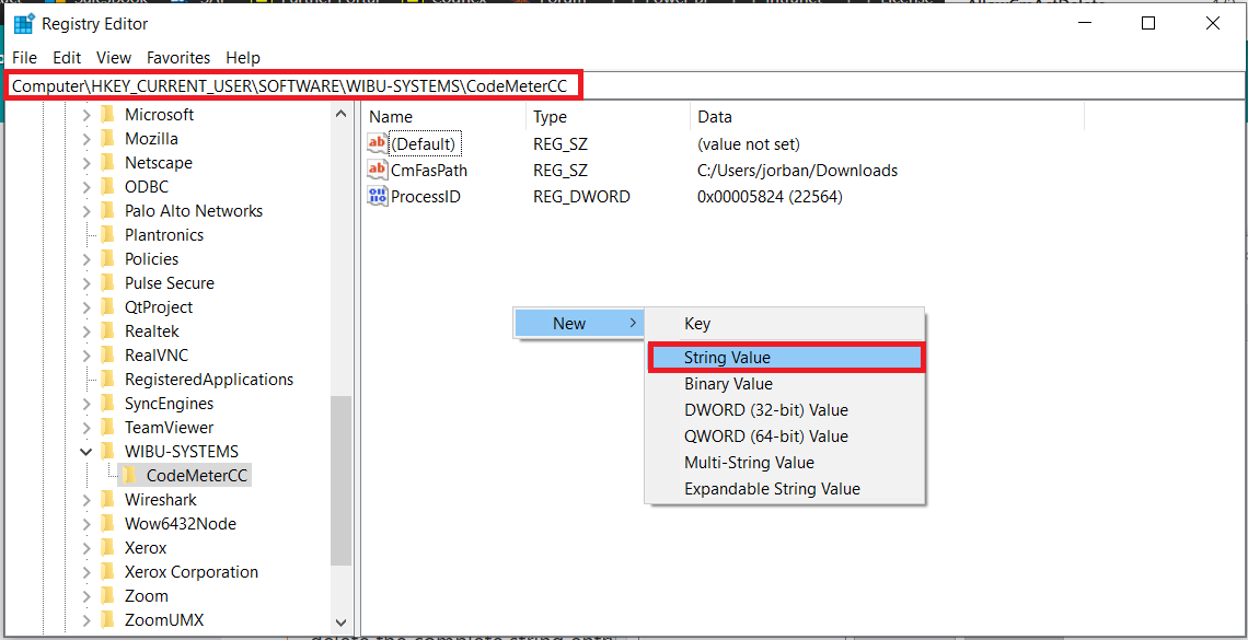 how-to-remove-insightemulator-wibu-cloud-license