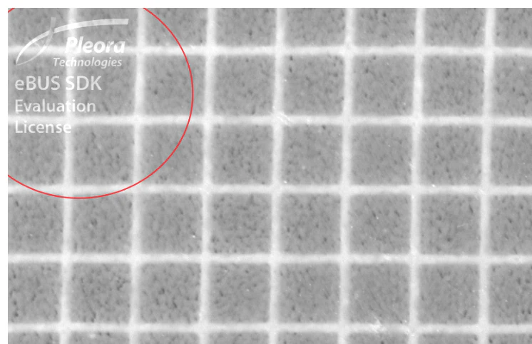 how-to-remove-the-pleora-watermark-from-the-acquired-image-img1