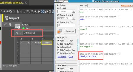 How to Use Native Command to Write Math Tool Cell Through TCP in In-Sight Vision Suite450_Image-7