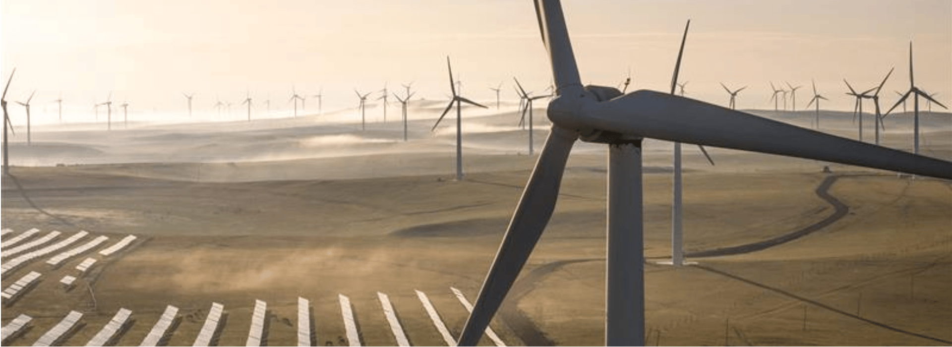 sustainability
