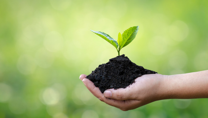 Earth Day