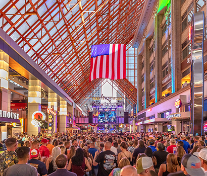 FSL_Concert_ViewBackofCrowd_410x350