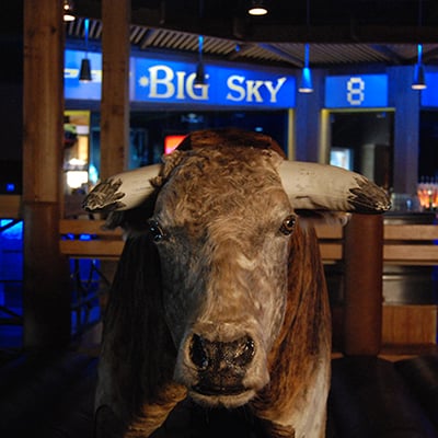 PBR Big Sky gallery