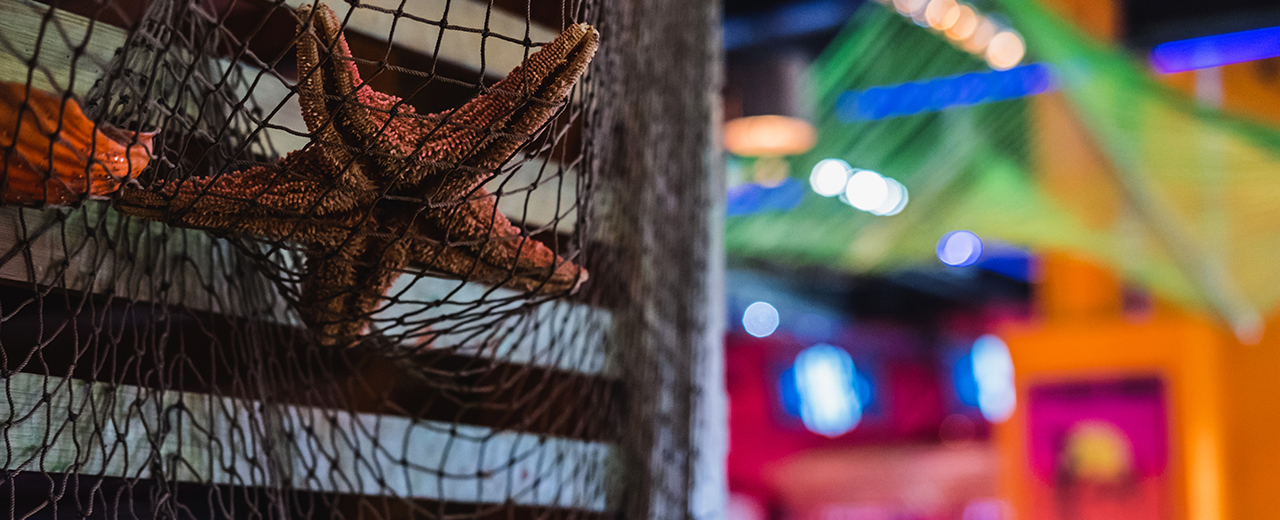 SHK_Carousel4_1280x250