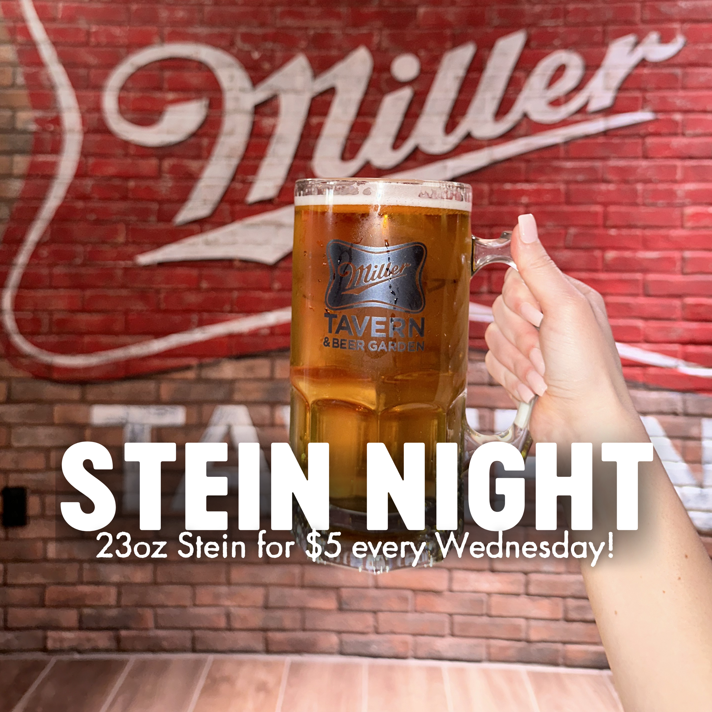Stein Night 2026