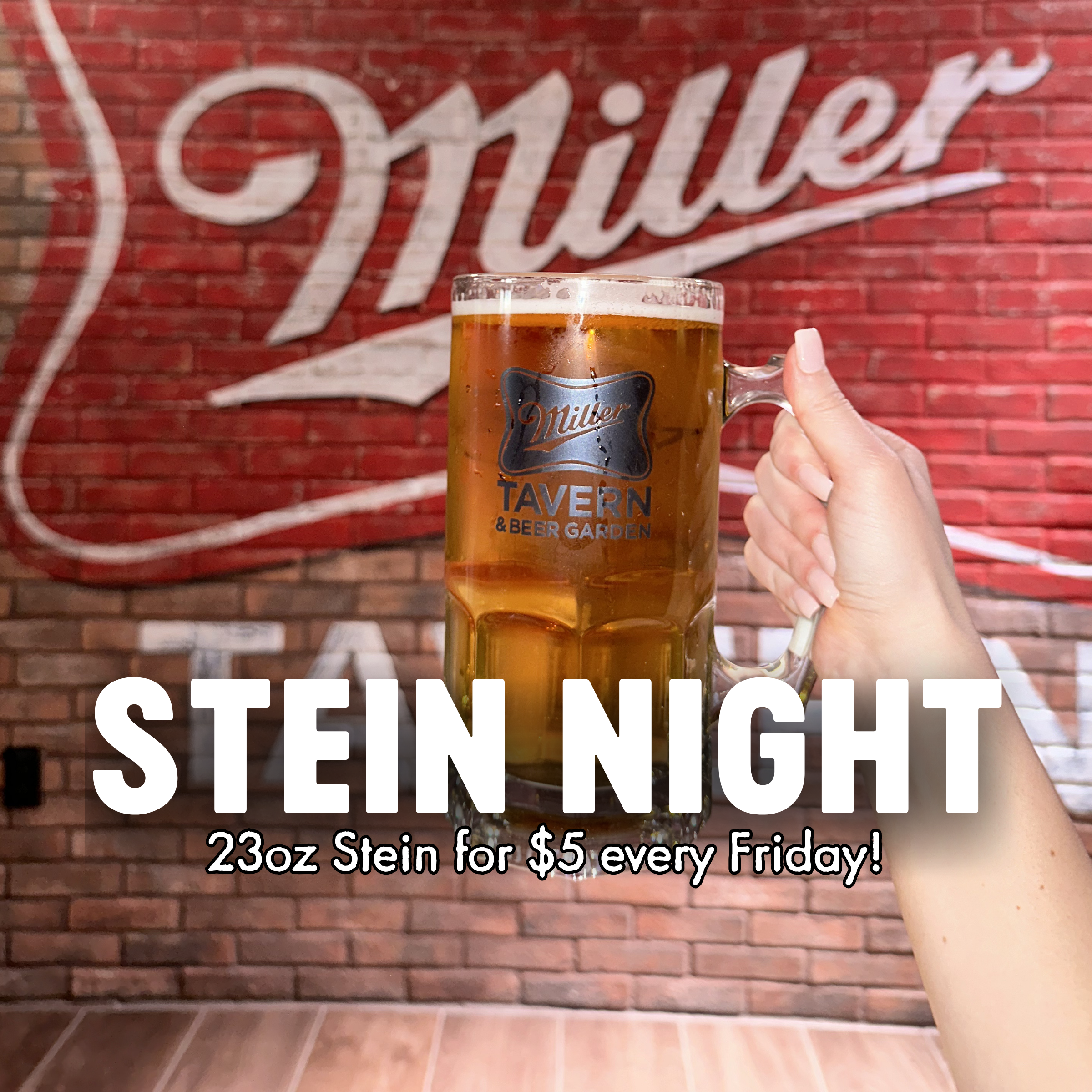 Stein Night Miller 2026