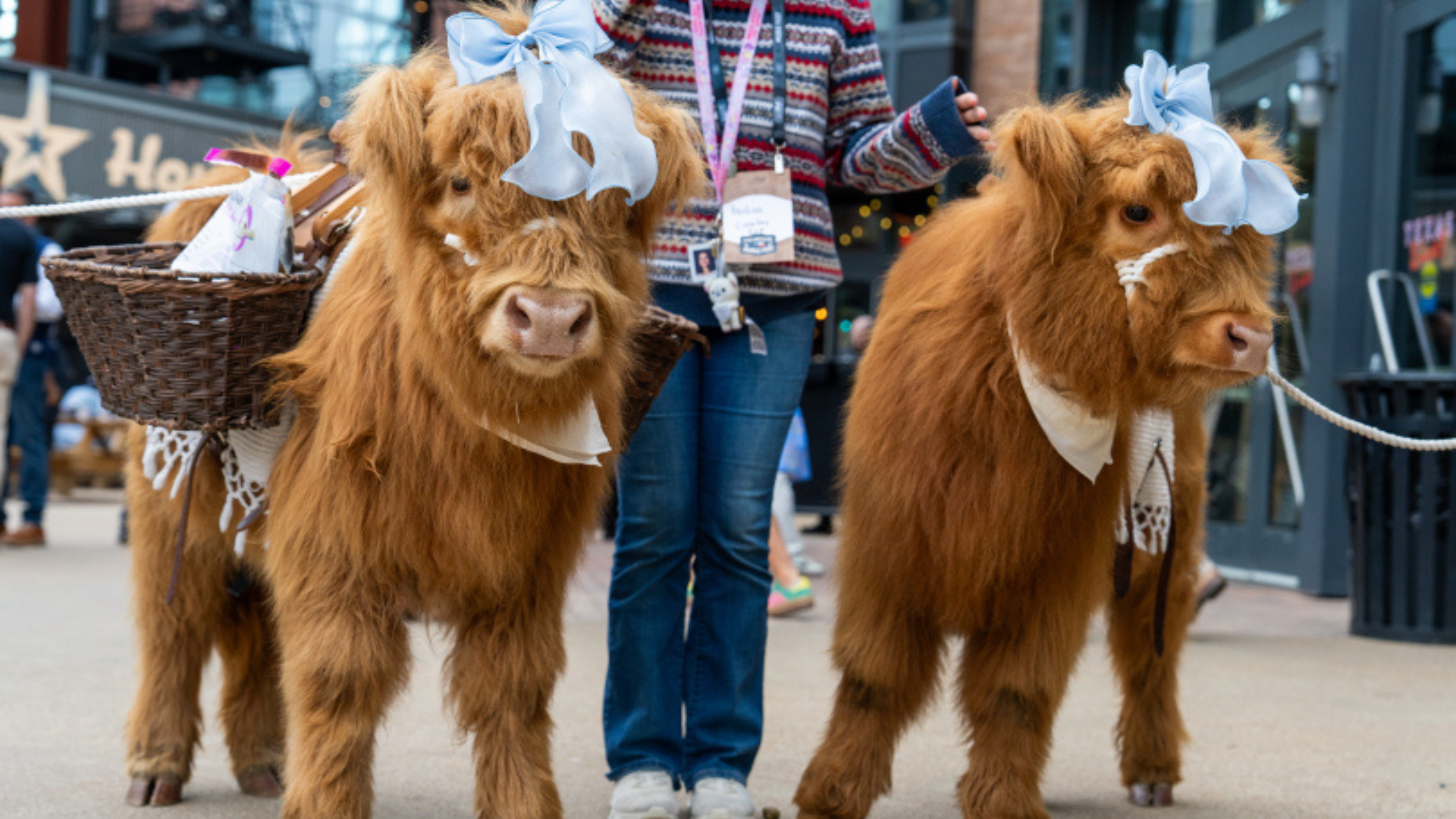 2026 Private Events Image 3