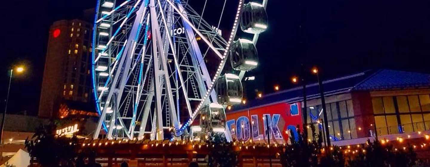 Ferris Wheel lit up at night.