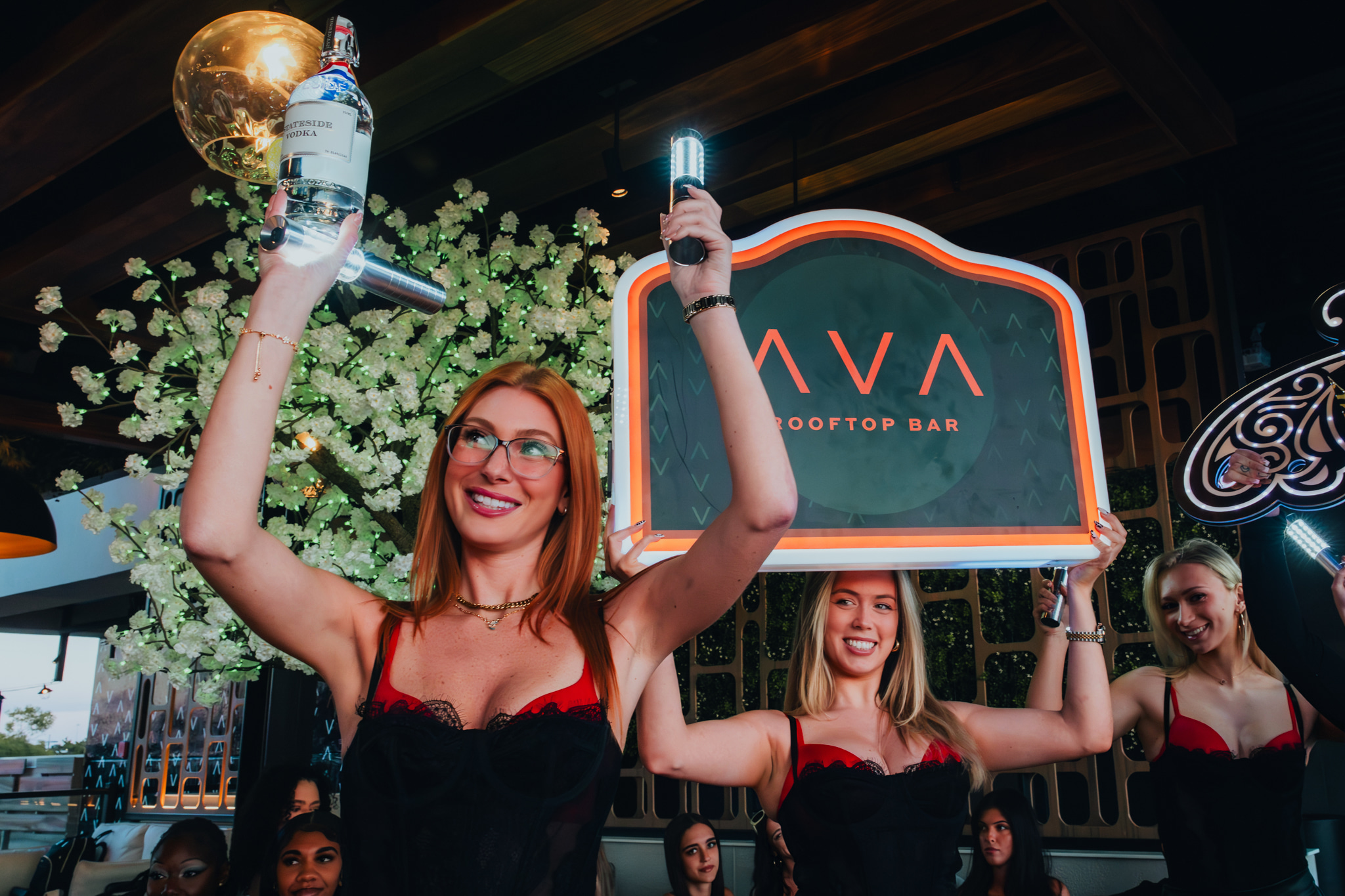 ava bottle service