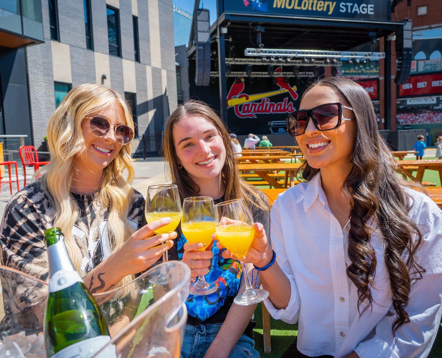 Mimosa fest